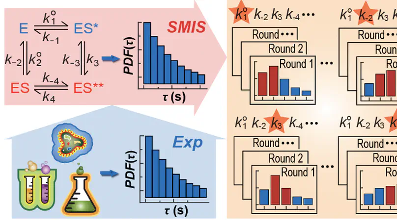 Single-molecule interaction simulation